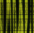 Green curtain with pattern