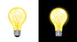 lightbulb