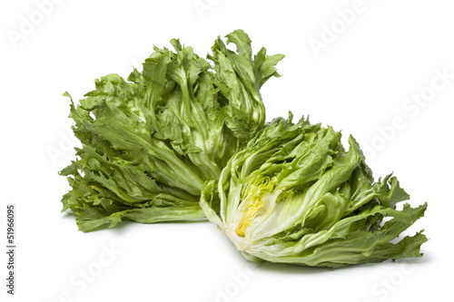Photo: Fresh raw andive Fresh raw andive