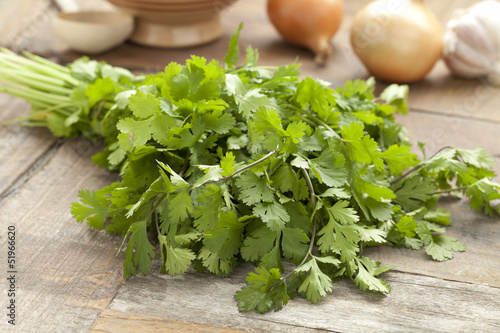 Photo: Fresh coriander Fresh coriander