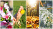Foto: four seasons four seasons