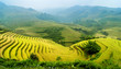 rice field on terraced in mountain.