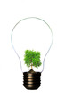 Foto: Light bulb Light bulb