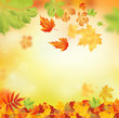 herbst