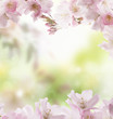 frühling