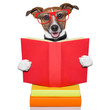 school learing dog