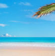 tropical beach