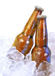 Foto: Two Alcohol Brown Glass Beer Bottles on White Two Alcohol Brown Glass Beer Bottles on White