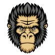 Vector: Monkey head Monkey head