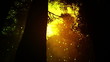 Magic Deep Forest Fairy Tale Scene 3D artwork