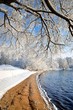 river bank in winter