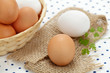 Eier