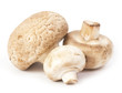 Fresh champignons on the white background