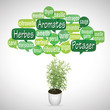 nuage de mots bulles et pot : aromates