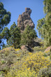 El Fraile, Gran Canaria
