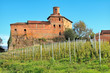 Photo: Old castle and vineyards in Piedmont, Italy. Old castle and vineyards in Piedmont, Italy.