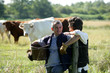 Foto: Farmer couple tending to cows Farmer couple tending to cows