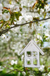 Little wooden house in Spring with blossom cherry flower sakura
