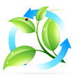 Fresh Green Leaves Icon