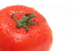 red tomato with water drops. macro