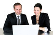 Business team working