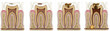 deterioration sequence a tooth