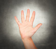 Photo: Number five Number five