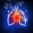 Schematic illustration of human lungs