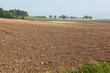 Foto: Baron field Baron field