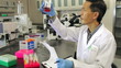 Male Scientist Working In Laboratory