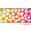 Vector: All occasion frangipani card in vector format. All occasion frangipani card in vector format.