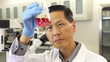 Male Scientist Working In Laboratory
