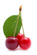Foto: Fresh cherries Fresh cherries