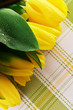 Photo: yellow tulips yellow tulips