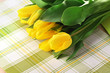 Photo: yellow tulips yellow tulips