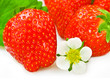 Foto: Erdbeeren Erdbeeren