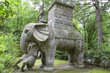 elefante