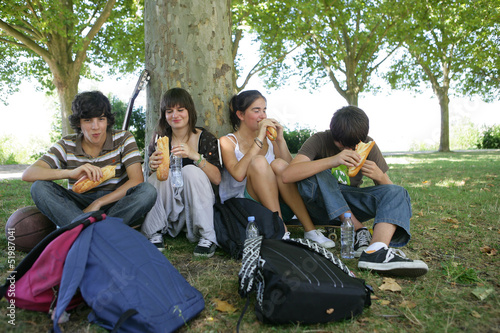 Photo: Teenager's picnic in the park Teenager's picnic in the park