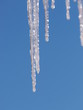 icicles icicle winter