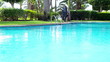 Young businessman walking by the swimming pool