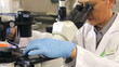 Male Scientist Using Microscope In Laboratory