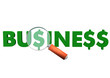 Business Dollar Loupe