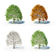 Illustrazione: The four seasons The four seasons