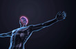 Human anatomy - central nervous system