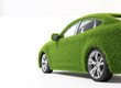Eco transport - grass covered car.