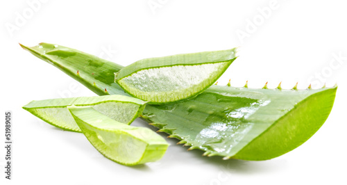 Photo: cut aloe leaves on white background cut aloe leaves on white background