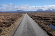 Single track road.