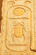 Photo: Scarab hieroglyph in the Temple of Queen Hatshepsut in Egypt Scarab hieroglyph in the Temple of Queen Hatshepsut in Egypt