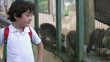 Little boy at the zoo with racoon