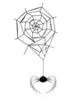 Spider under net